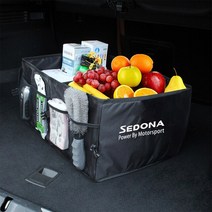 기아 리오 피칸토 소렌토 포르테 옵티마 소울 씨드 세도나 카덴자 K9 텔루라이드용 자동차 보관 가방 트렁크 정리함 박스 액세서리, For Sedona