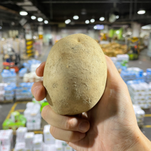 경매직송 감자, 3kg, 알뜰형, 80g이하(중)