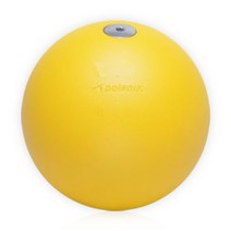 DWR 폴라닉 포환 3kg 국제육상연맹공인 전문가용