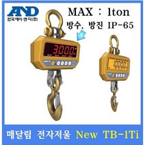 AND 매달림전자저울 TB-1Ti 1ton(0.5kg) FND타입 산업현장 호이스트 톤백계량