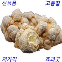 중국 운남 삼칠 전칠삼 삼칠근 2023신상 500g 한방재료, 500g(30두)