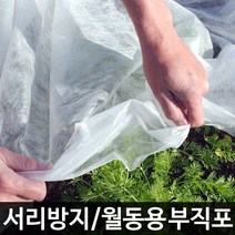 서리방지용 부직포 마늘밭 양파 농업용 농사용 못자리 부직포 양파 배추 막덮기 농작물 보호 월동준비 냉해방지