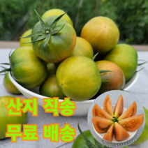 진짜 대저짭짤이 토마토 2.5kg 입안에서 터질듯 폭발하는 짭짤한 그맛, 로얄과(70~130g)