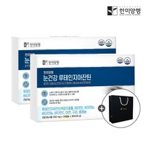 한미양행 루테인 지아잔틴 눈 건강 영양제 선물세트 2박스 (500mgx30캡슐x6박스)+쇼핑백, 단품, 단품