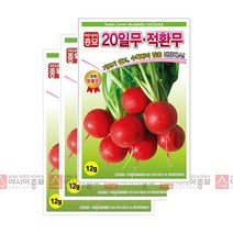 아시아종묘 적환무씨앗 20일무 방울무 (12gx3)