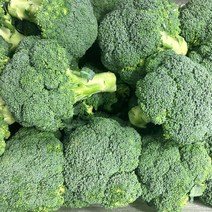 브로콜리 4kg, 1개
