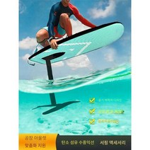무동력 서핑 보드 윈드포일 날개 해변 윈드서핑 윙, 블랙 F07 (액세서리 포함)
