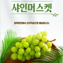 산지직송 영천샤인머스켓 과일선물 샤인머스켓선물세트 고급선물세트 씨없는청포도 과일선물세트 샤인머스켓선물용 샤인머스켓 2kg, 샤인머스켓1.4kg(2수)