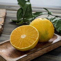 국내산 농장직송 제주 황금향 소과 1.5kg 9-12과