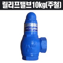 유일정밀 릴리프밸브10kg 주철 25A, 1개