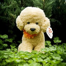 진짜같은 강아지 인형 비숑 프리제 23cm 30cm 50cm 리얼 강아지모형, 1