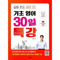 기초 영어 30일 특강, 넥서스