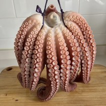포항 자숙 문어 피문어 참문어 2kg-5kg 죽도시장, 2kg