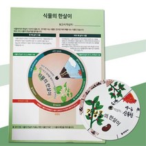 관찰 보고서작성 식물한살이 만들기도안 5인 자연탐구 diy 새싹 교육기관 어린이집
