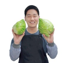 제주 산지직송 당도 UP! 고당도 고깔양배추, 못난이 고깔양배추 3kg / 2~3개