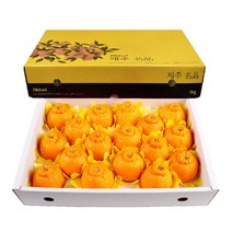 농장직송 고당도 한라봉 3kg 5kg 10kg 꼬마한라봉, 1박스