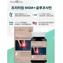 팜그린 프리미엄 MSM+글루코사민, 단품