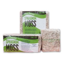 담쟁이가든 뉴질랜드 수태 2A 75g 150g 500g 칠레 수태 75g, 뉴질랜드 75g