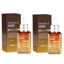 웰더마 프로폴리스 1000 에너지 앰플 50ml 2개(1+1), 2개