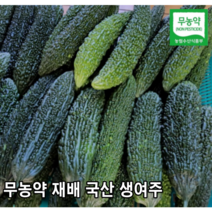 [국내산/국산] 햇 생여주 아삭아삭한 여주 3kg 5kg 산지직송 생 햇여주 당일수확 고야 비터메론 유기농 쓴오이 못난이 오이 못난이오이 건여주 건조여주, 건여주 300g