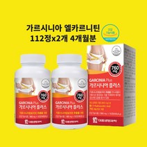 카르니틴 L카르니틴 체지방 다운 부스터 가르시니아 다이어트 효능 카테킨 나이아신 장용성 식약처인정 건기식품, 현하트몰 112정X2개