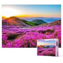 500피스 직소퍼즐 - 황매산 철쭉축제, 색상, 퍼즐/블럭 조각 수