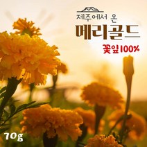 국산 마리골드 꽃잎 차 메리골드 꽃 차 금잔화 금송화 루테인 지아잔틴 눈에좋은 꽃차 효능 만들기 제주도, *** 국산 마리골드 꽃잎 ***, 1개