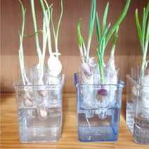 실내 수경 재배 식물 화분 자동급수 공기정화 관엽 다육이 채소 화분, 수경흙화분-1종