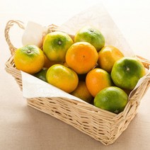 초록자연 제주 타이벡 감귤 3kg (로얄과) 고당도