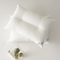 SESA N뉴컴퍼터블 경추베개솜 40X60, 없음