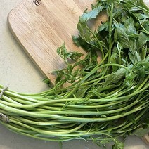 (자연담아 ) 자연산 돌미나리 국내산 산지직송 친환경 탁월한 해독 정화작용 향긋한 햇 미나리 500g 1kg 2kg 4kg 중량올라갈수록 판매가 최저로 판매중