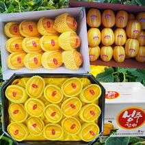 출시 성주참외 3kg 5kg 10kg 가정용 흠집실속, 꼬마과(15~25과), 1개