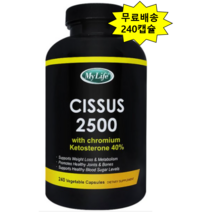 씨서스 240캡슐 4개월분 *1병 시서스 2500mg 시저스다이어트
