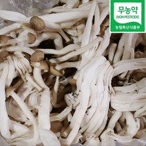 갈색만가닥버섯 2kg 4kg 8kg 당일수확 청도 국내산 친환경 무농약 손질된 백만송이 갈색버섯 갈색 만가닥 버섯 버섯요리 천연조미료 노인영양식 어린이반찬 환자식단 웰빙농산물, 1개