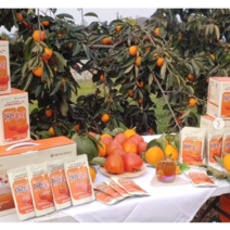 중소벤처기업장관상 아라홍시 쥬스 스무디