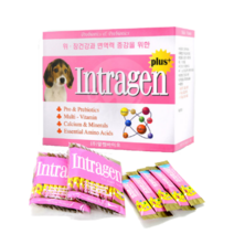 인트라젠 플러스 강아지 고양이 유산균 프로바이오틱스 종합 영양제 30p, 유산균 분말 30p