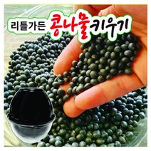 이솔앤아이 국내산 콩나물 키우기 세트 1개