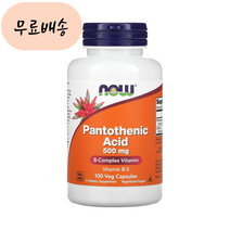 나우푸드 판토텐산 500m.g 100배지개 판토테닉, 1개, 100개