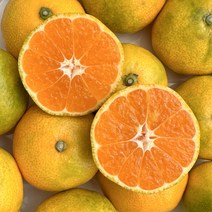 제주 하우스 감귤 하우스귤 가정용 산지직송 1~5kg, 가정용 프리미엄 2.5kg 30~40과