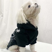 파티생각 펫 할로윈 스컬장식 의상, M/보험가입거절