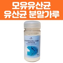 여성 건강 분말 식품 포스트 바이오틱스 모유 유산균 가루 프로 프리 프롤린 모유 분리 대두 단백 postbiotics 시니어 온가족 남자 성인 추천 영양제 아님