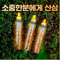 금산 한국인삼공사 산삼배양근 삼삼 음료형 20병 선물 수험생 성장기 학생 부모님 할머니 할아버지