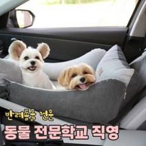 리토가토 스마트 강아지 카시트 (4 color / 커버분리형) 반려동물 학교, 레드 (안전고리2개 set)