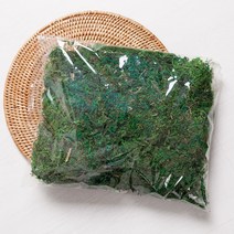 플라워트리 청이끼 인테리어 소품 DIY 실내조경 테리스 조화 화분 테라리움 FDIYFT, 소 (170g), 1개