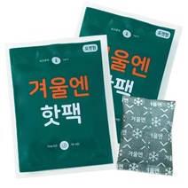 겨울엔 국내제작 군용 핫팩 100gX20개 포켓용, 단품