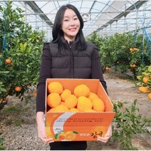 [산지직송] 미식언니 레드향 18brix 최고당도 3kg백화점선물세트 5kg 10kg 가정용, 가정용10kg(소중대과 혼합)