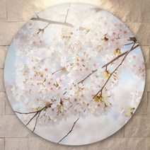 꾸밈데코_원형전면아크릴코팅액자_봄의꽃벚꽃(pf313)_라운드액자인테리어액자벽장식월데코벽걸이액자, 이미지4