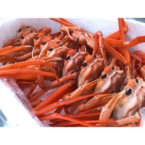 산지직송 동해안 포항 구룡포 자숙홍게 살이탱탱 수율높음 라면별미, 고급 A급 = 수율 85%내외
