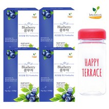 콤부차 블루베리 4박스 60포+보틀증정 꼼부차 스코비, 콤부차 블루베리 4박스 60포+보
