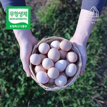 [웰굿] [무항생제] 자연방사 백봉오골계란 유정란(10구), 상세 설명 참조
